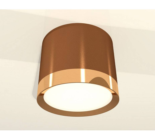 Накладной светильник Ambrella Light XS XS8117001