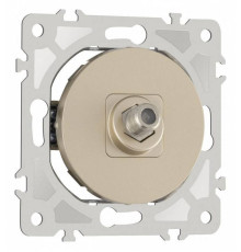 ТВ-розетка без рамки Arte Milano am-202 202.42-1.shampan