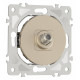 ТВ-розетка без рамки Arte Milano am-202 202.42-1.shampan