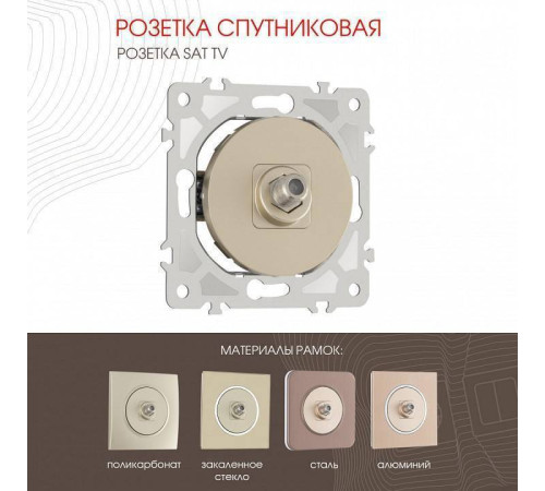 ТВ-розетка без рамки Arte Milano am-202 202.42-1.shampan