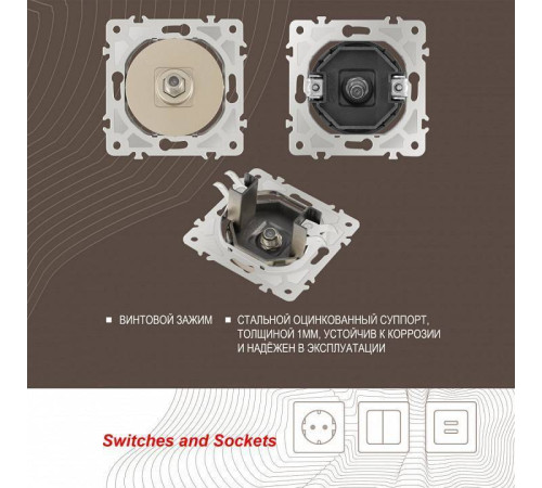 ТВ-розетка без рамки Arte Milano am-202 202.42-1.shampan
