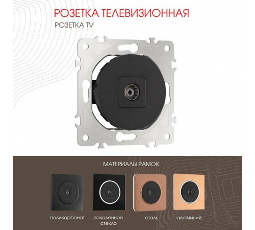 ТВ-розетка без рамки Arte Milano am-202 202.43-1.black