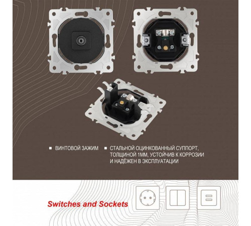 ТВ-розетка без рамки Arte Milano am-202 202.43-1.black