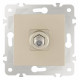 ТВ-розетка без рамки Arte Milano am-203 203.42-1.shampan