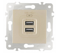 Розетка USB, без рамки Arte Milano am-203 203.46-1.shampan