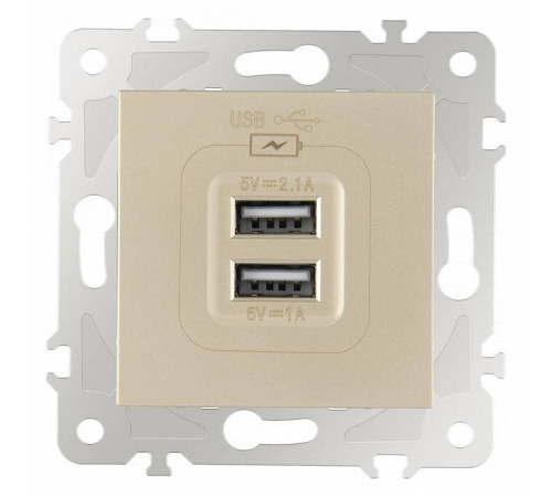Розетка USB, без рамки Arte Milano am-203 203.46-1.shampan