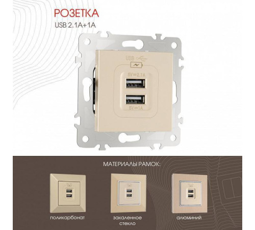 Розетка USB, без рамки Arte Milano am-203 203.46-1.shampan