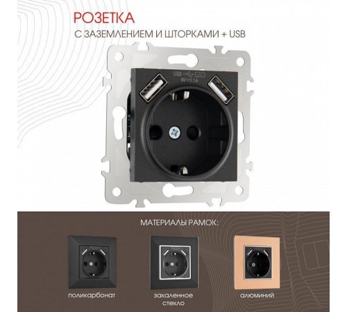 Розетка с заземлением и со шторкой и 2хUSB, без рамки Arte Milano am-203 203.47-1.black