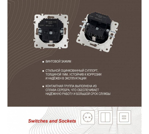 Розетка с заземлением и со шторкой и 2хUSB, без рамки Arte Milano am-203 203.47-1.black
