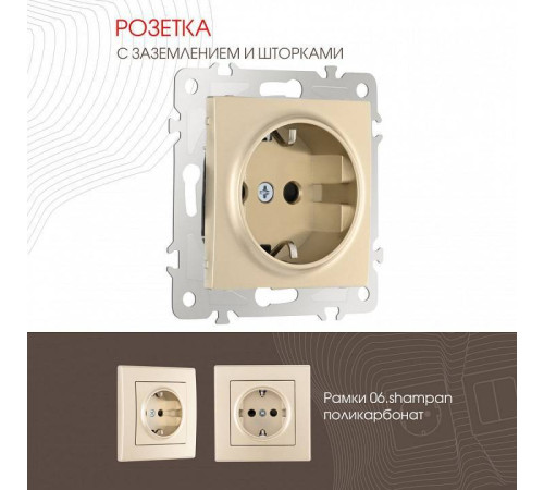 Розетка с заземлением и со шторкой, без рамки Arte Milano am-206 206.40-1.shampan