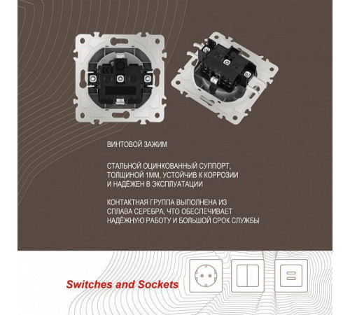 Розетка с заземлением и со шторкой, без рамки Arte Milano am-206 206.40-1.silver