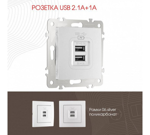 Розетка USB, без рамки Arte Milano am-206 206.46-1.silver