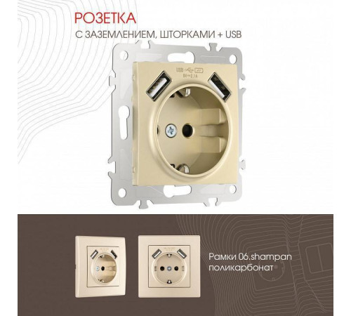 Розетка с заземлением и со шторкой и 2хUSB, без рамки Arte Milano am-206 206.47-1.shampan