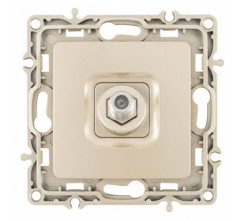 ТВ-розетка без рамки Arte Milano am-217 217.42-1.shampan