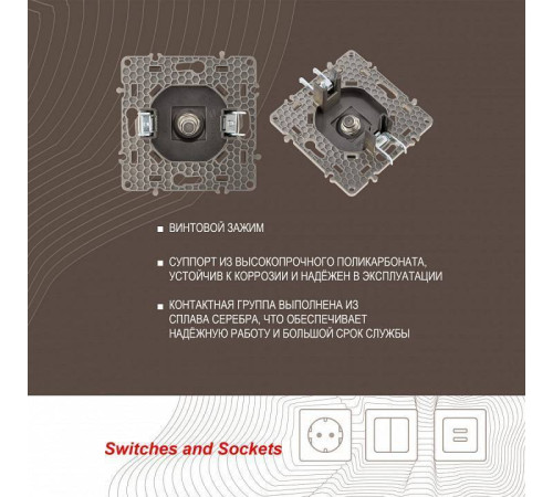 ТВ-розетка без рамки Arte Milano am-217 217.42-1.shampan