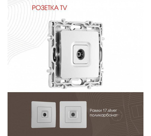 ТВ-розетка без рамки Arte Milano am-217 217.43-1.silver