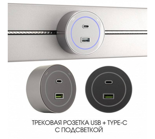Розетка USB и type C на треке Arte Milano Am-track-sockets-39 399732TS/USB-Type-C Silver