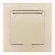 Розетка с заземлением и шторкой, с крышкой Arte Milano SET06-1 SET06-1-41-1 shampan