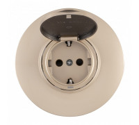 Розетка с заземлением и шторкой, с крышкой Arte Milano SET08-1 SET08-1-41-1 shampan