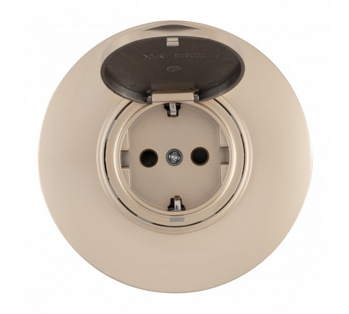 Розетка с заземлением и шторкой, с крышкой Arte Milano SET08-1 SET08-1-41-1 shampan