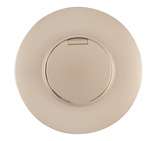 Розетка с заземлением и шторкой, с крышкой Arte Milano SET08-1 SET08-1-41-1 shampan