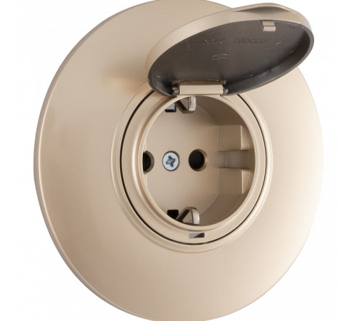 Розетка с заземлением и шторкой, с крышкой Arte Milano SET08-1 SET08-1-41-1 shampan