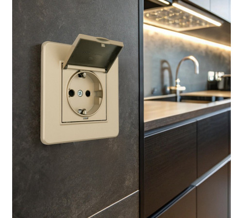 Розетка с заземлением и шторкой, с крышкой Arte Milano SET16-1 SET16-1-41-1 shampan