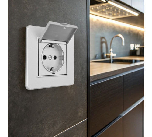 Розетка с заземлением и шторкой, с крышкой Arte Milano SET16-1 SET16-1-41-1 silver