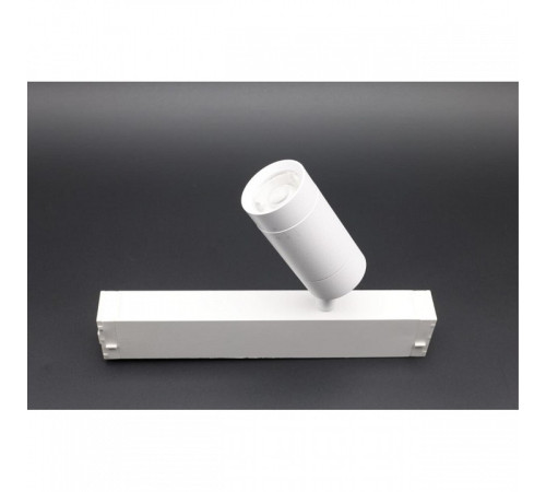 Светильник на штанге Aployt Magnetic track 220 APL.0204.10.07