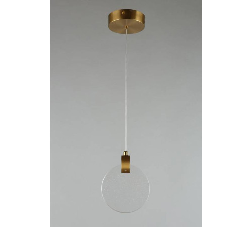 Подвесной светильник Aployt Frederik APL.054.06.05