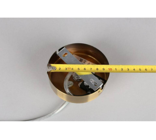 Подвесной светильник Aployt Letizia APL.314.03.10