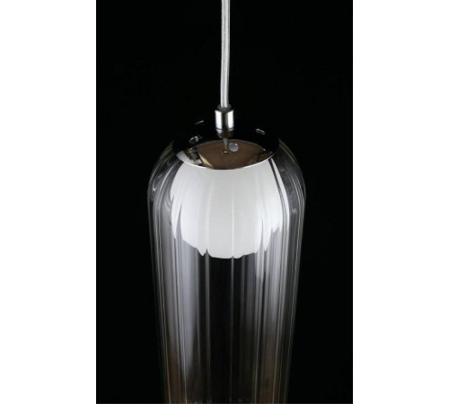 Подвесной светильник Aployt Arian APL.325.06.01