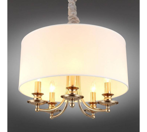 Подвесной светильник Aployt Berze APL.721.06.05