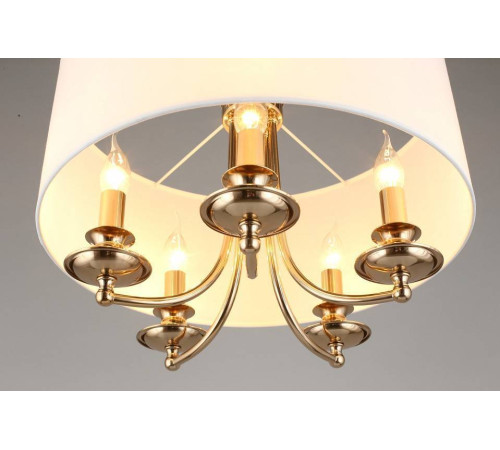 Подвесной светильник Aployt Berze APL.721.06.05