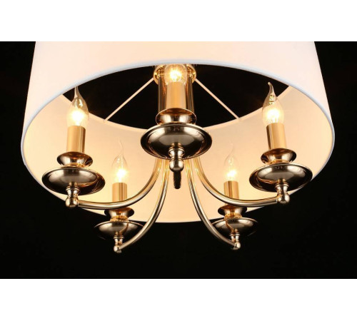 Подвесной светильник Aployt Berze APL.721.06.05