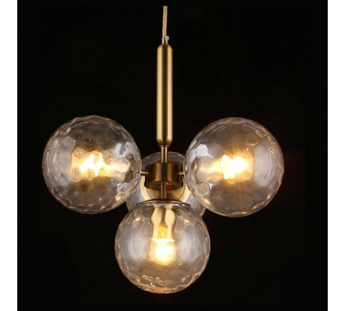 Подвесная люстра Aployt Lora APL.728.06.04