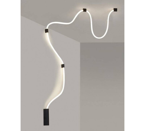 Накладной светильник Aployt Sindrillon APL.773.02.78