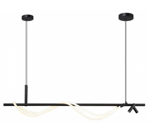 Светильник на штанге Aployt Sindrillon APL.773.03.69