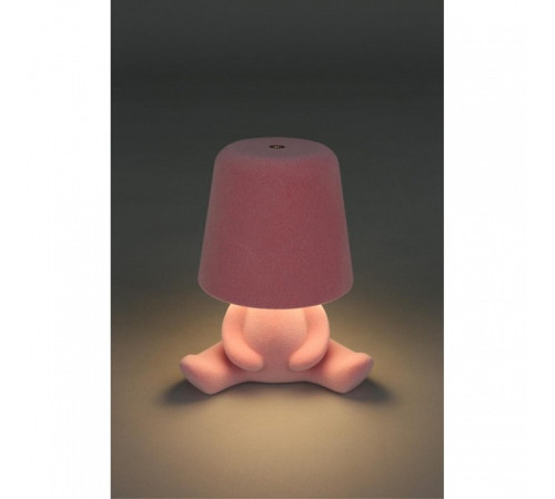 Зверь световой Aployt Olka APL.677.14.01