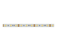 Лента светодиодная Arlight  014636(2)