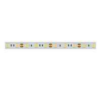 Лента светодиодная Arlight  022325(2)