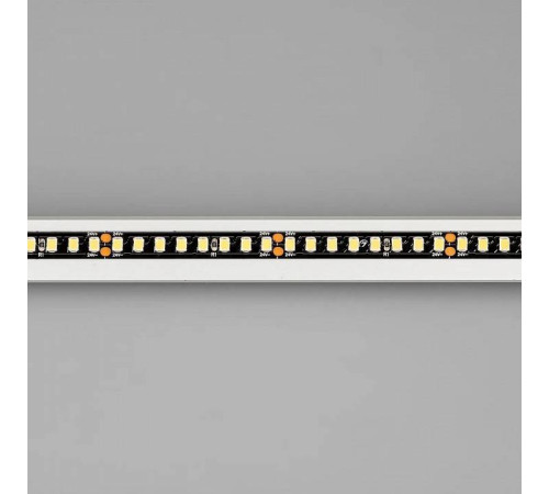 Лента светодиодная Arlight RT-A160 029427(2)