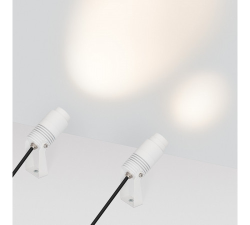 Прожектор настенно-потолочный Arlight RAY 042676(1)