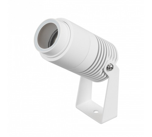 Прожектор настенно-потолочный Arlight RAY 042676(1)