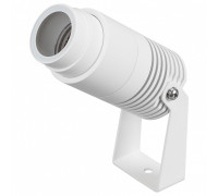 Прожектор настенно-потолочный Arlight RAY 042676(1)