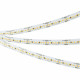 Лента светодиодная Arlight MICROLED 047863