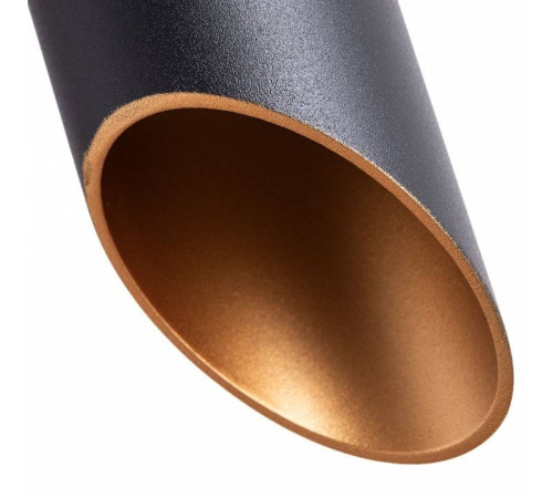 Подвесной светильник Arte Lamp Pilon-Gold A1536SP-1BK