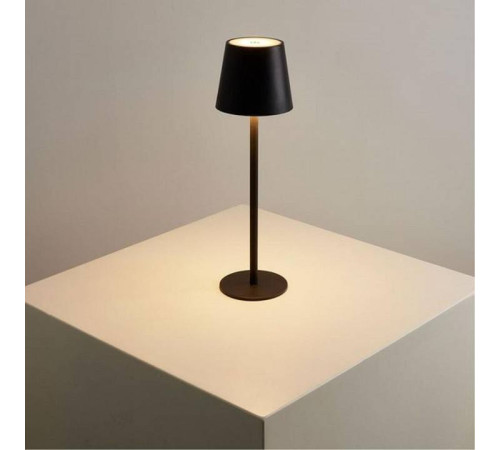 Настольная лампа декоративная Arte Lamp Fuyue A1614LT-1BK