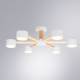 Потолочная люстра Arte Lamp TENDA A1624PL-6WH