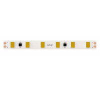 Лента светодиодная Arte Lamp TAPE A2412005-03-6K